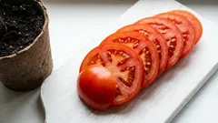 Basta un solo pomodoro per il tuo orto: questo astuto trucchetto preso al supermercato ti aiuterà a riuscirci in primavera