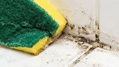  Questa bevanda a base di latte rimuove immediatamente le macchie di muffa.