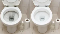 Rotolo di carta igienica e aceto: un modo semplice per rimuovere il calcare dal water e riportarlo al suo aspetto originale.